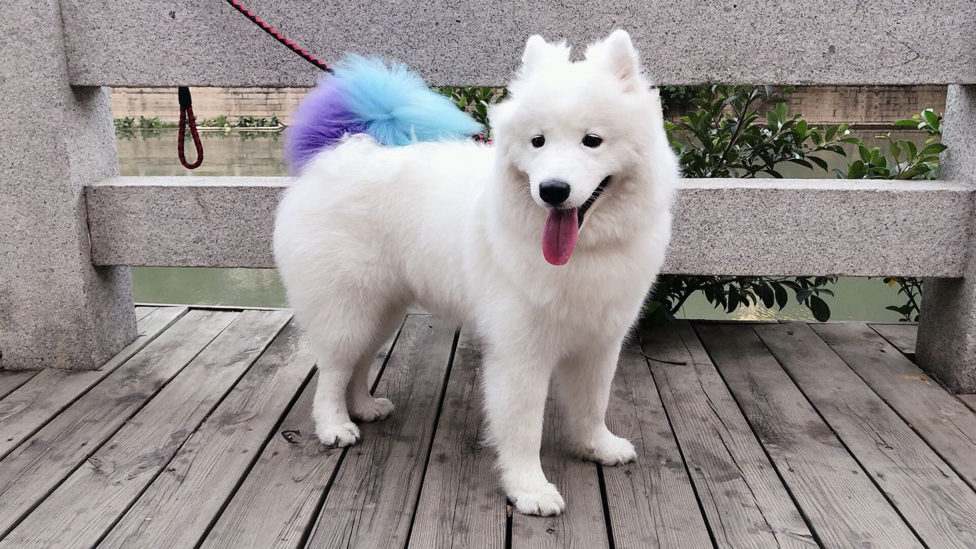 米兰登录入口-中国香港队赛制调整:如何在团体赛事中发挥最大优势,香港队再添一枚金牌 第2张 米兰登录入口-中国香港队赛制调整:如何在团体赛事中发挥最大优势,香港队再添一枚金牌 第2张