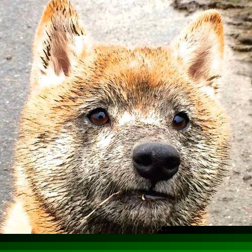 米兰体育APP-五大联赛是否鼓励中后场断球后立即长传反打思路，五大联赛中场休息多久