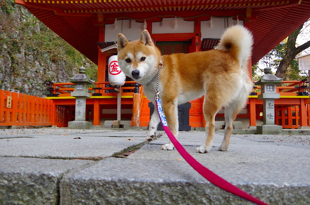 Milan Sports-体育新闻中心完善体育类AI内容风险防控系统，体育新闻包括哪些内容