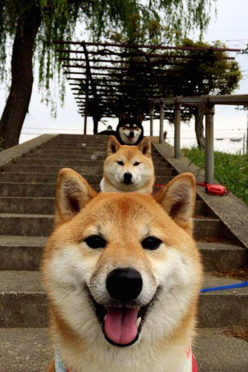 米兰体育APP-新月有意国米三将：恰尔汗、阿切尔比、西奥，恰尔汗奥卢对比埃里克森