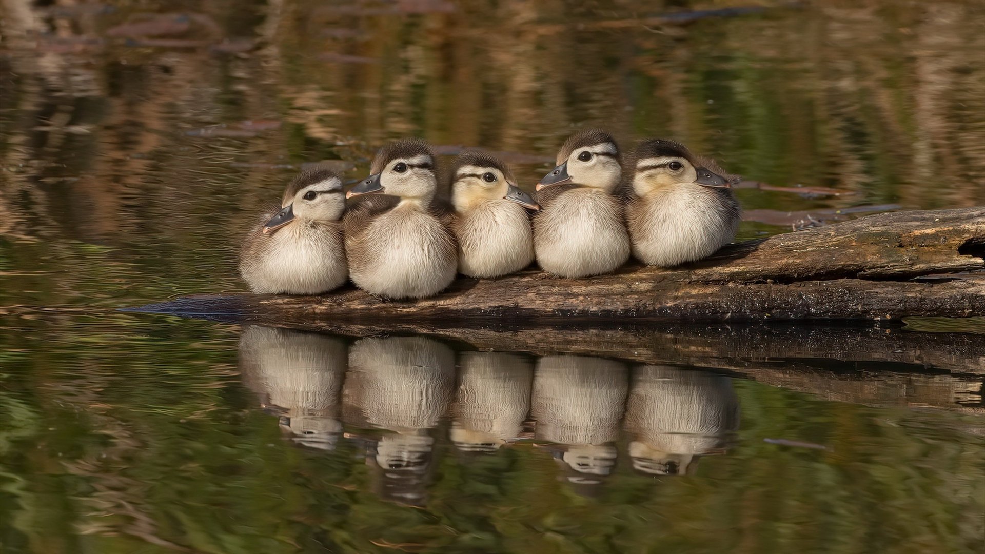 -自由搏击训练体系完善，自由搏击训练体系完善方案