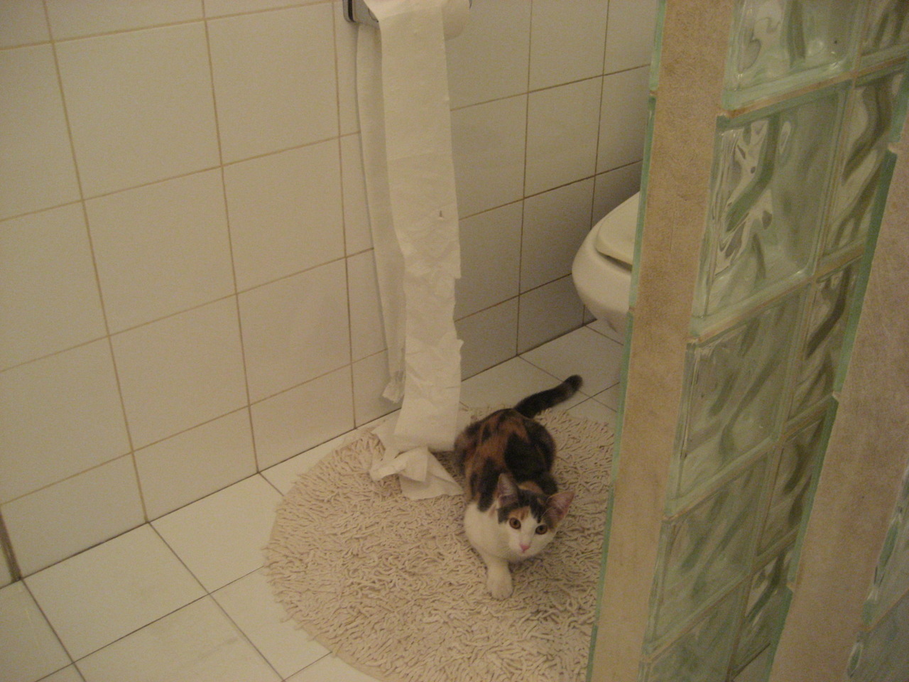 米兰体育-连胜终结后，球队表示将认真总结问题。，连胜结束