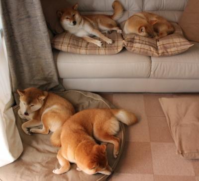 米兰体育官网-中国女排副攻组合逐渐形成稳定配置，中国女排副队长是谁