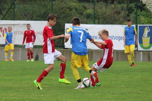 米兰登录入口-中国足球主客场制度优化，竞赛公平性提升，中国足球队主场