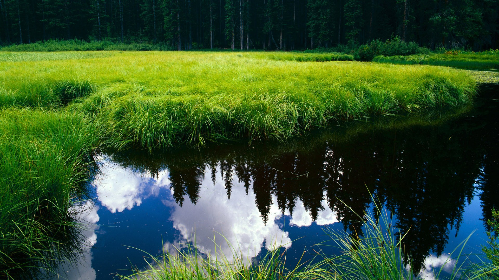 AC米兰-快船总经理回应薪资帽争议,快船老板有多少钱