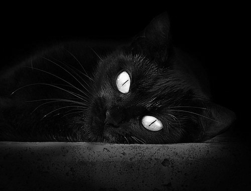 米兰体育官网-意甲传控流:组织、传球、得分的极致完美,西甲传控球队