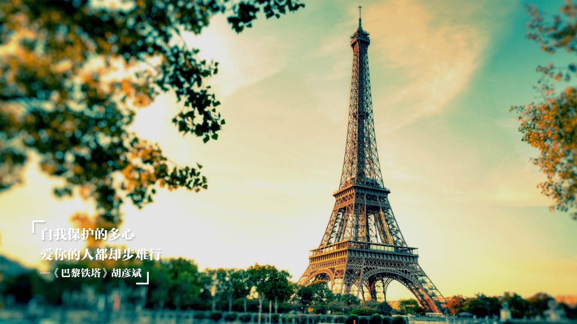 米兰登录入口-球迷联名请愿扩大赛场容量,主办方回应积极,球队球迷